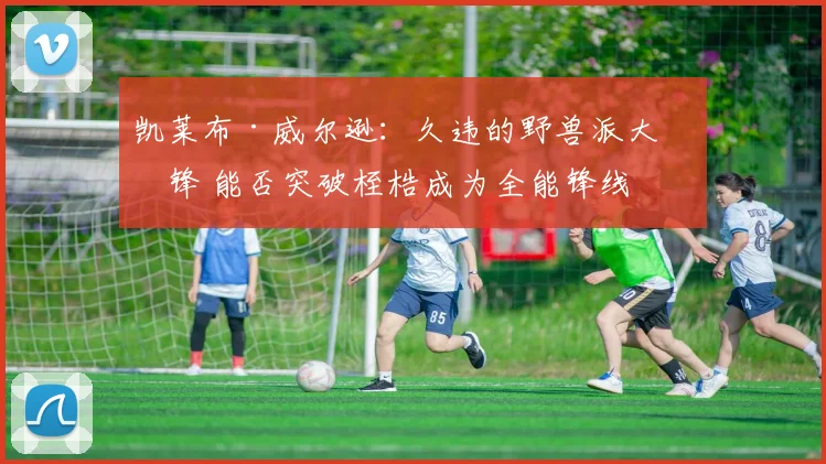 凯莱布·威尔逊：久违的野兽派大前锋 能否突破桎梏成为全能锋线
